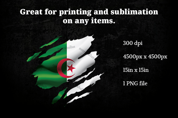 Algeria Ripped Flag PNG for Crafts and Graphics